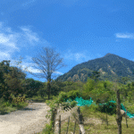 En Venecia: reconstrucción y esperanza tras avenida torrencial