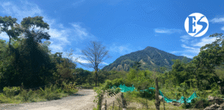 En Venecia: reconstrucción y esperanza tras avenida torrencial