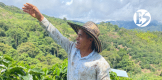 Don José Luis Bermúdez