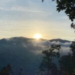 Revisemos cómo se mueve la economía del Suroeste antioqueño