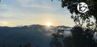 Revisemos cómo se mueve la economía del Suroeste antioqueño