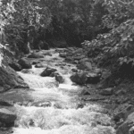 Crónica parroquial: La Quebrada