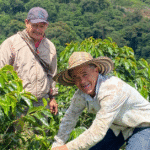 Editorial. Persistir y desistir en el Suroeste