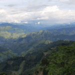 Las escuelas de San Gregorio