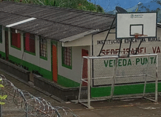 Las escuelas de San Gregorio – quinta parte