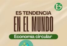 Economía circular: la tendencia mundial que transforma la forma de producir y consumir