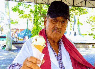 Crónica parroquial: Oda al cono