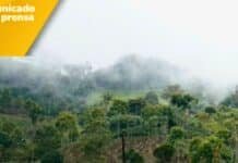 La ANM negó a Minera de Cobre Quebradona la suspensión de obligaciones en su título minero