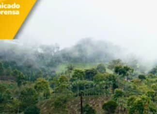 La ANM negó a Minera de Cobre Quebradona la suspensión de obligaciones en su título minero