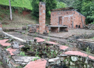 Crónica parroquial: Trapiche de doña Pepa