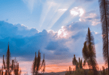 En Angelópolis: tres muertes que inspiran una reflexión sobre la juventud