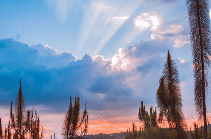 En Angelópolis: tres muertes que inspiran una reflexión sobre la juventud