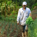 Jericó: declarada Área de Protección para la Producción de Alimentos