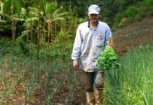 Jericó: declarada Área de Protección para la Producción de Alimentos