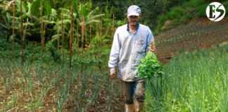 Jericó: declarada Área de Protección para la Producción de Alimentos
