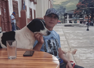 Freddy Restrepo: El guardián silencioso que lucha contra el abandono y el maltrato animal en Urrao.