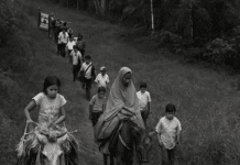 Encontrar nuevos caminos: ¿por qué no intentarlo?