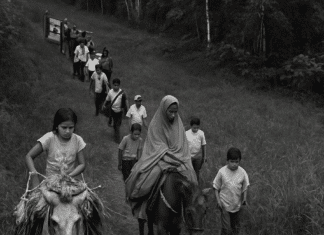 Encontrar nuevos caminos: ¿por qué no intentarlo?