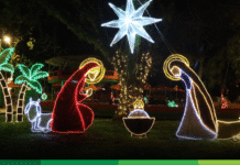 Diciembre llega con planes y eventos para el Suroeste