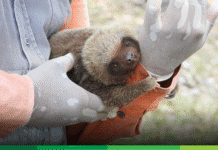 La ruta que elige la vida: Así Concesión La Pintada transforma la seguridad vial en el Suroeste antioqueño.