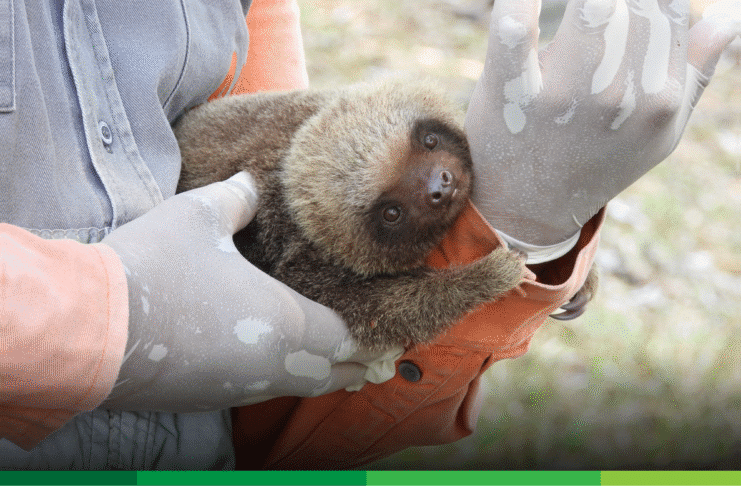 La ruta que elige la vida: Así Concesión La Pintada transforma la seguridad vial en el Suroeste antioqueño.