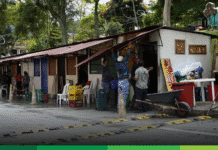 Comerciantes de Amagá inician retorno progresivo a la Plaza de Mercado tras cuatro años de reubicación temporal