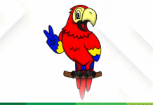 Una lección de política: la receta para tomar una adecuada decisión de voto