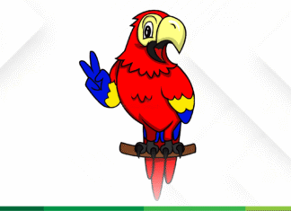 Una lección de política: la receta para tomar una adecuada decisión de voto