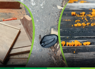 Crónica parroquial: Policrónicas