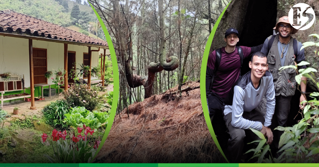 COMENTARIO_SENTIMIENTO_AYURÁ-03