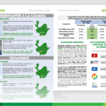 Hagamos memoria – EL SUROESTE ELIGE