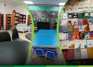 Comentario: Pasta dura