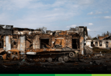 Las guerras como herramienta de evolución