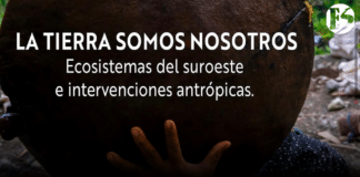Cátedra Suroeste: La tierra somos nosotros