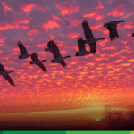 Cosas de Líderes: Test para saber si vos sos un buen líder o lideresa