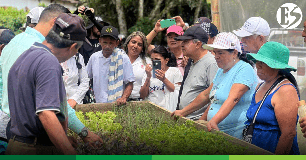 PLANTULADERO VALPARAÍSO-03