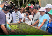 En Valparaíso: nuevo plantuladero comunitario impulsa huertas y producción limpia