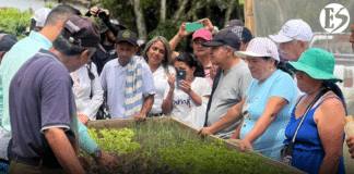 En Valparaíso: nuevo plantuladero comunitario impulsa huertas y producción limpia