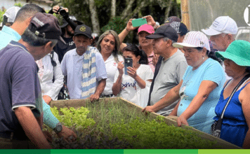 En Valparaíso: nuevo plantuladero comunitario impulsa huertas y producción limpia