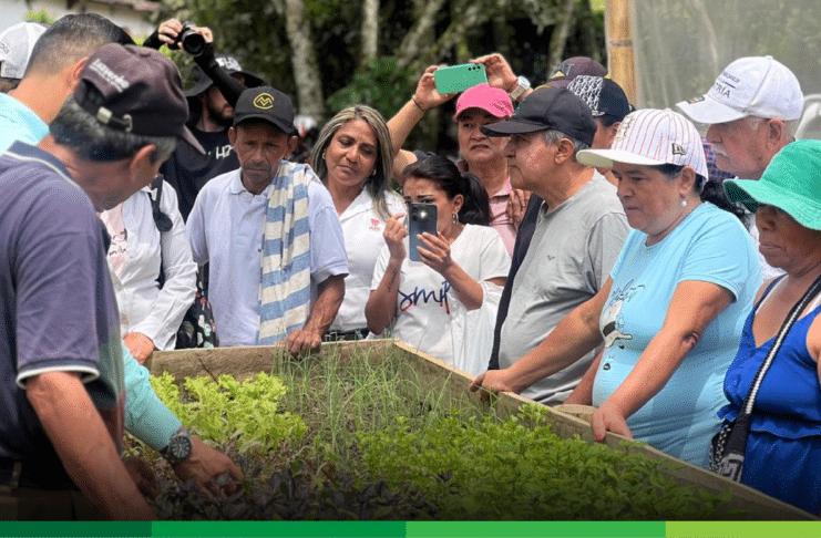 En Valparaíso: nuevo plantuladero comunitario impulsa huertas y producción limpia