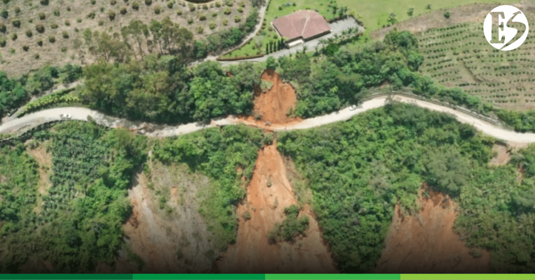 VÍA BETULIA - CONCORDIA-03