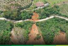 Vía Concordia – Betulia: afectaciones que no pueden pasar desapercibidas