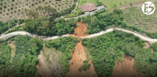 Vía Concordia – Betulia: afectaciones que no pueden pasar desapercibidas