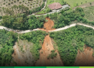 Vía Concordia – Betulia: afectaciones que no pueden pasar desapercibidas