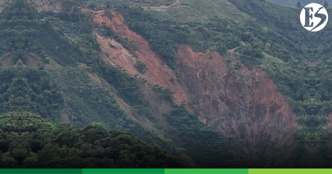 VÍA CONCORDIA - BETULIA-03