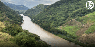 En el Suroeste, monitoreos de EPM evidencian caída en los caudales del río Cauca
