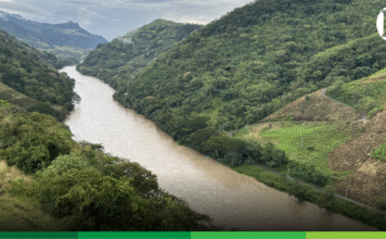 En el Suroeste, monitoreos de EPM evidencian caída en los caudales del río Cauca