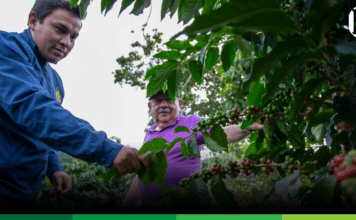 La Federación de Cafeteros también advierte sobre riesgos por posible fenómeno de El Niño