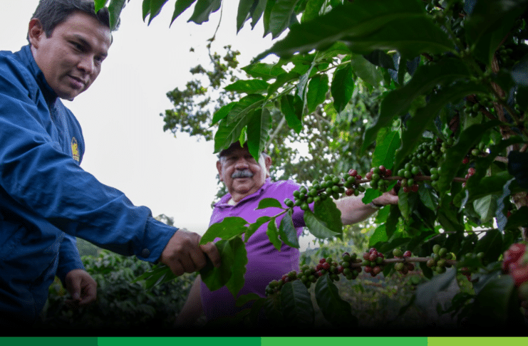 La Federación de Cafeteros también advierte sobre riesgos por posible fenómeno de El Niño
