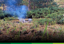 Con un 61 % de probabilidad del fenómeno de El Niño, Corantioquia emite recomendaciones